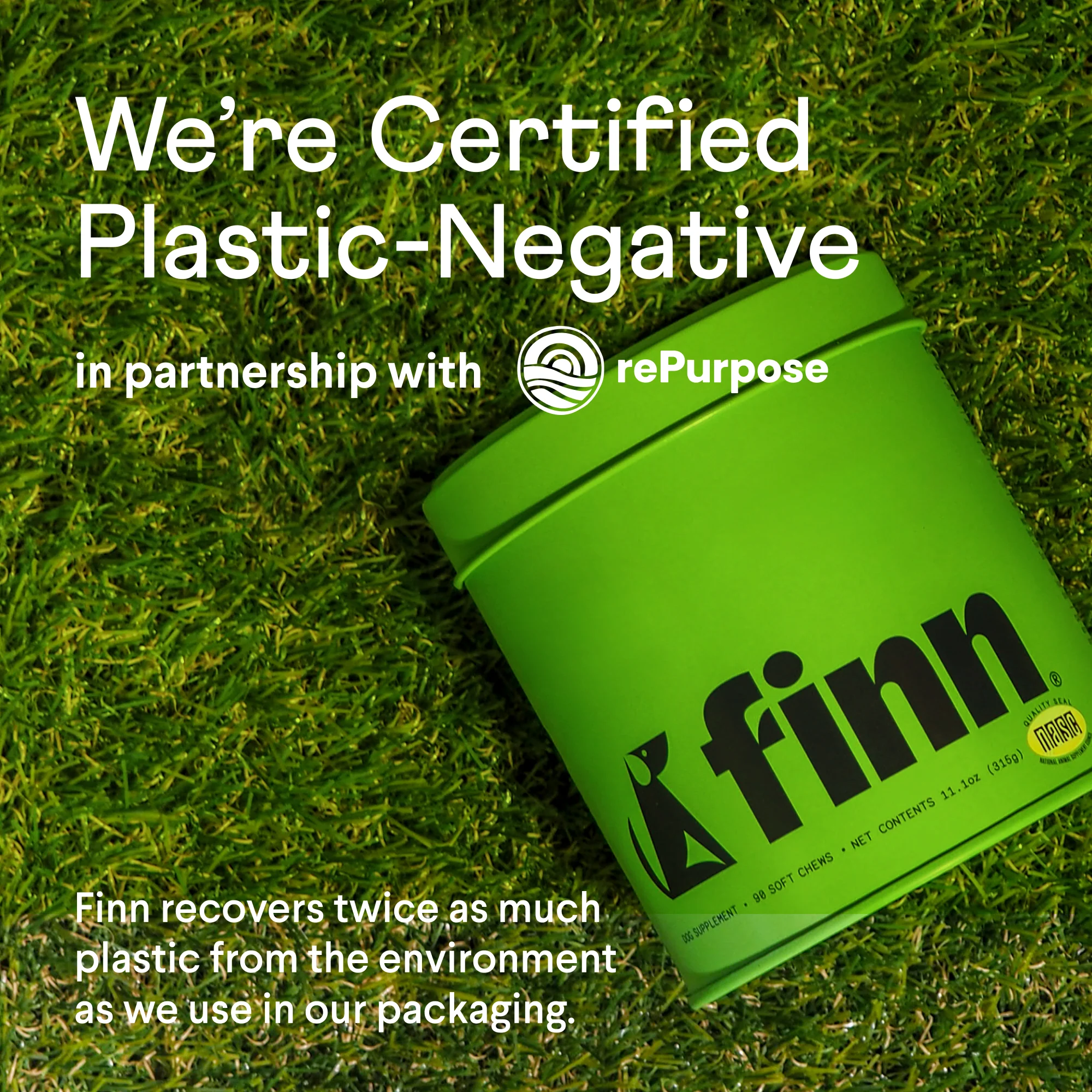 Calming Aid Supplement for Dogs - Image 9