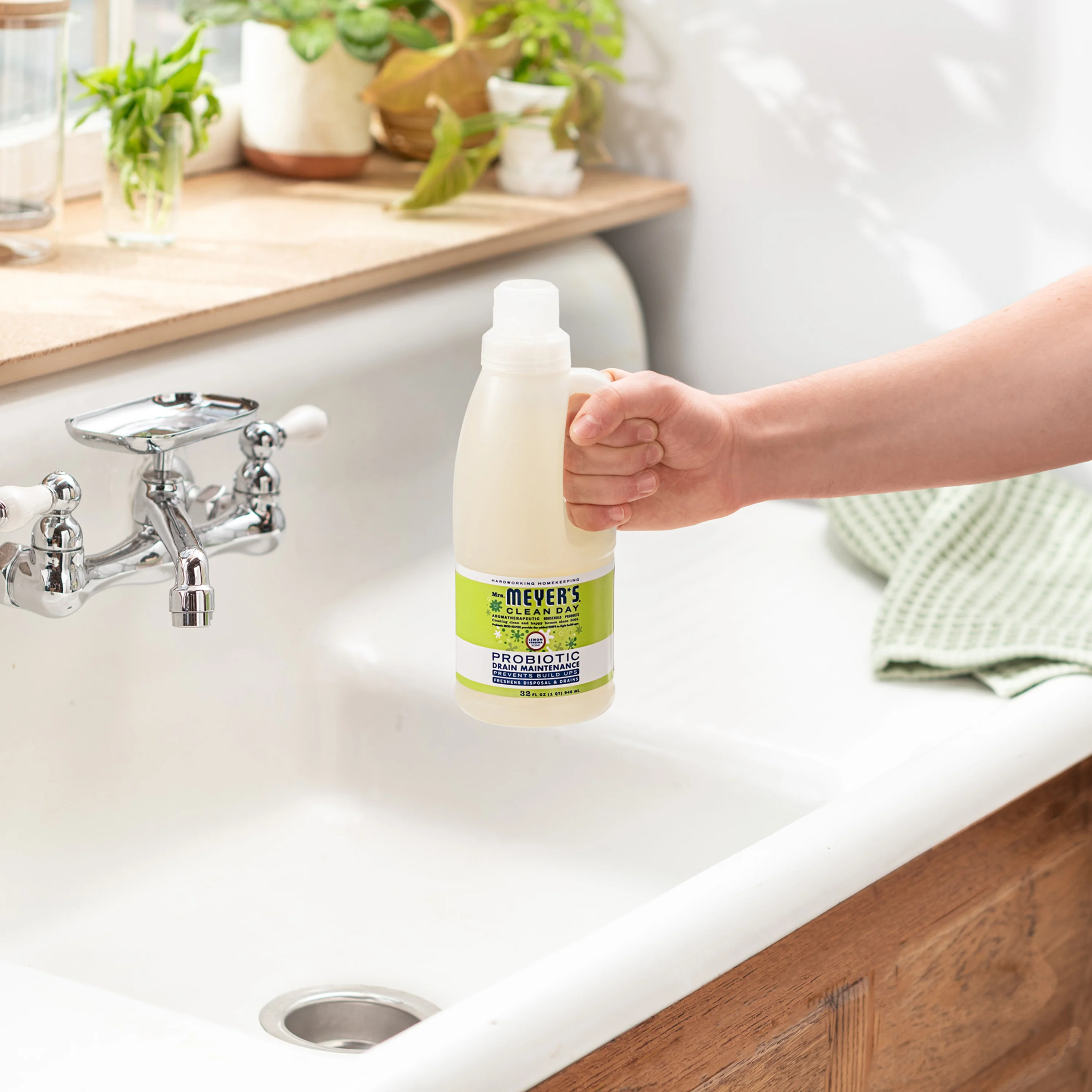 Probiotic Drain Maintenance - Image 7